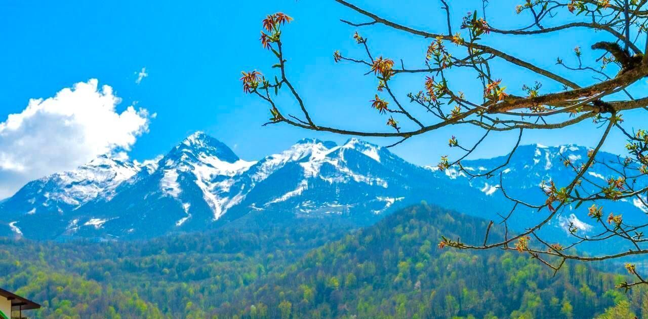 квартира г Сочи с Илларионовка р-н Адлерский с Эстосадок ул. Эстонская, 29 фото 13