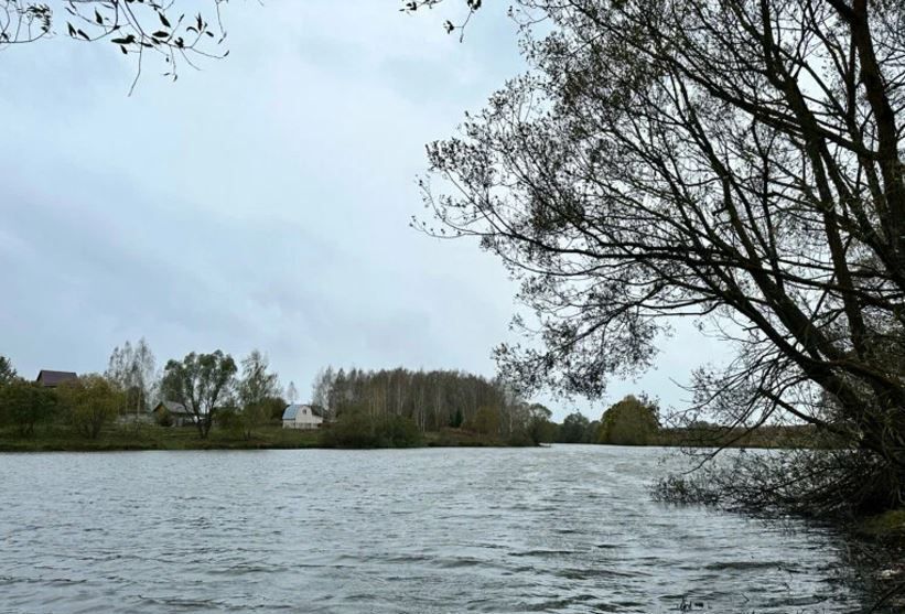 земля городской округ Домодедово д Гальчино 37 км, Южная ул, Домодедово, Новокаширское шоссе фото 10