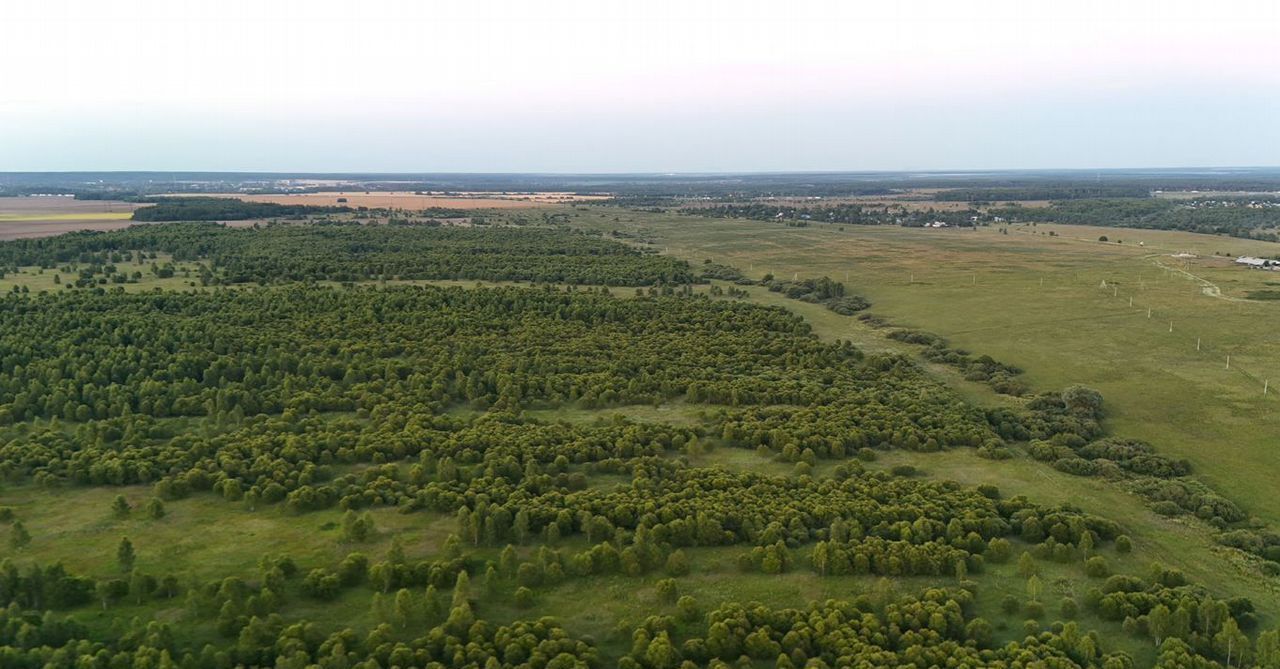 земля городской округ Ступино д Макеево ул Кретовская 55 км, Михнево, Новокаширское шоссе фото 7