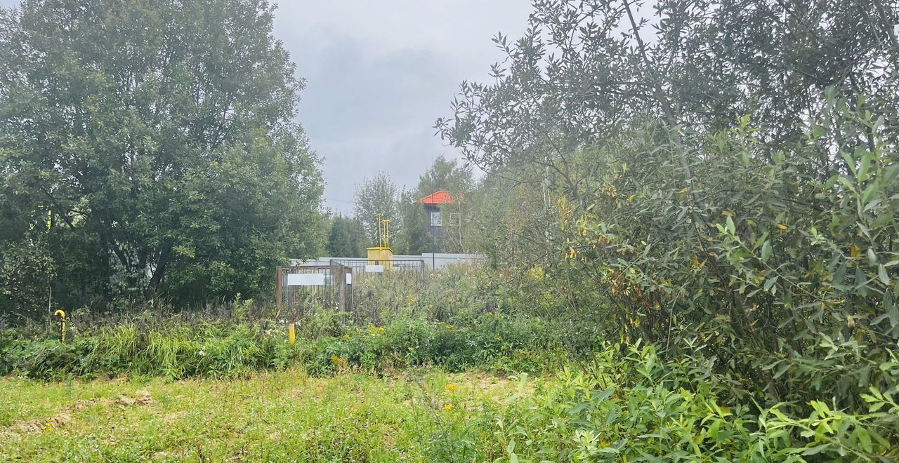 земля городской округ Мытищи п Трудовая пер Дружный 24 км, Некрасовский, Дмитровское шоссе фото 12