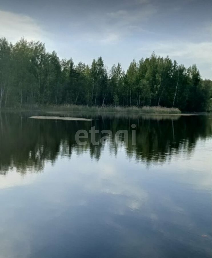 земля г Кировград п Нейво-Рудянка ул Льва Толстого 5 Кировградский г. о., Новоуральск фото 4