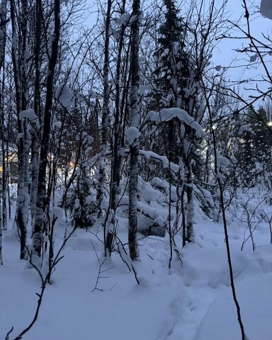 городское поселение город Кола, товарищество собственников недвижимости Серебряная Горка фото