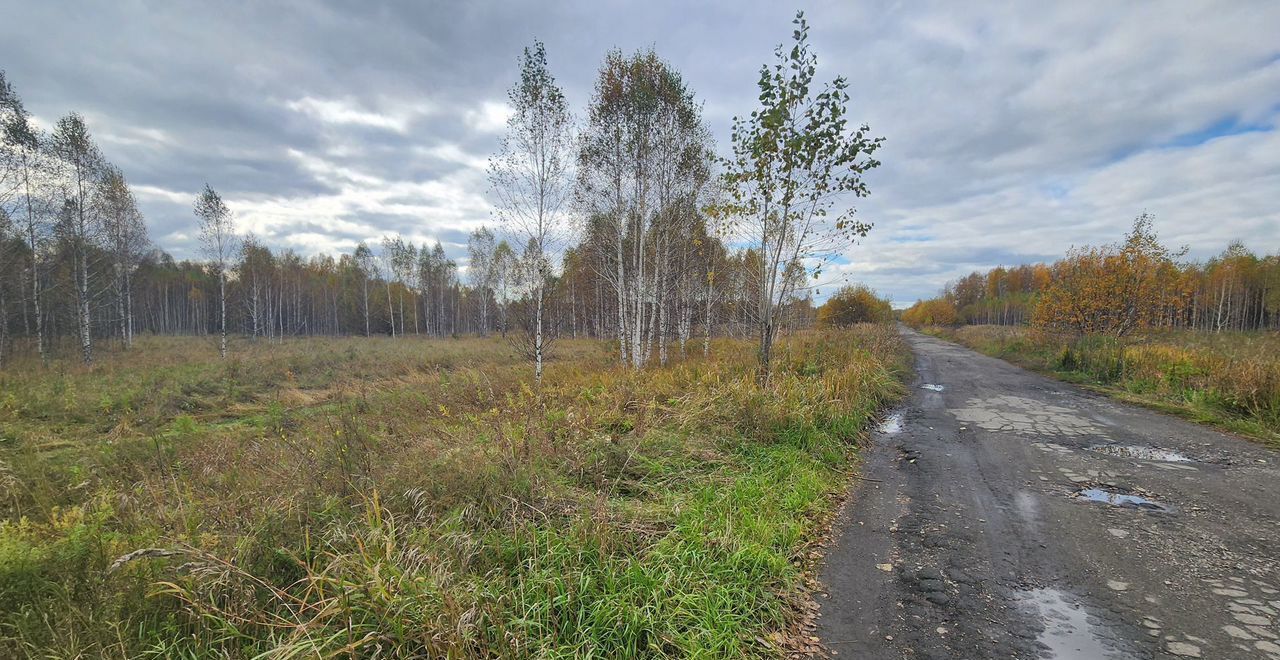 земля р-н Новосибирский с Барышево Раздольненский сельсовет фото 1