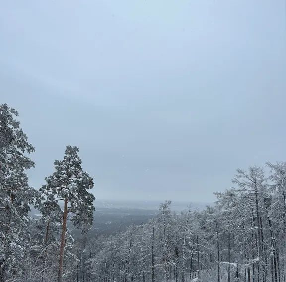 квартира г Карабаш п Красный Камень Карабашский городской округ, 21 фото 19