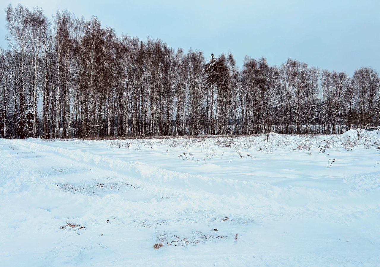 земля городской округ Талдомский п Запрудня 73 км, Дмитровское шоссе фото 3