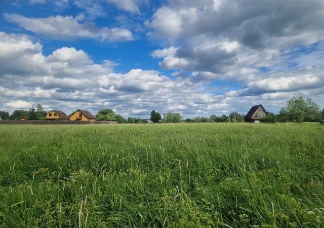 Трасса Скандинавия, 106 км, Селезнёвское сельское поселение, Выборг фото