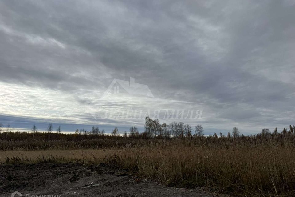 земля г Тюмень Тюмень городской округ, Березняковская фото 3