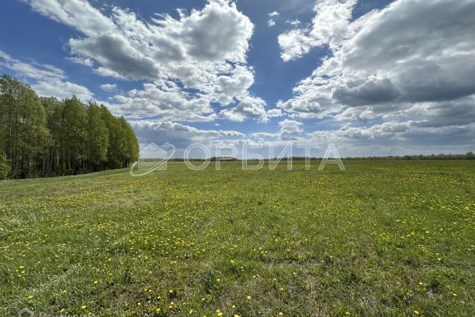 земля г Тюмень Тюмень городской округ, Тракт, улица Червишевский фото 1