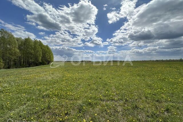 Тюмень городской округ, Тракт, улица Червишевский фото