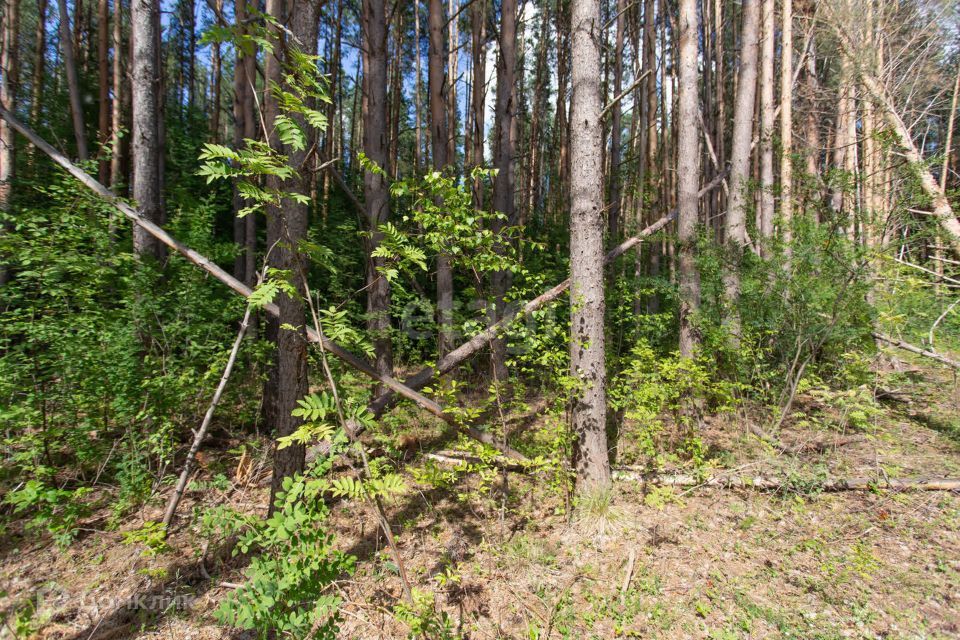 земля г Тобольск улица Центральная, 24, Тобольск городской округ фото 2