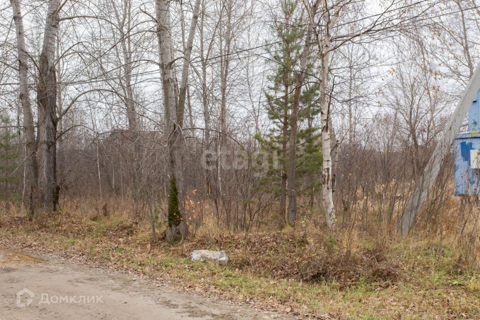 земля г Тобольск ул Менделеева Тобольск городской округ фото 4