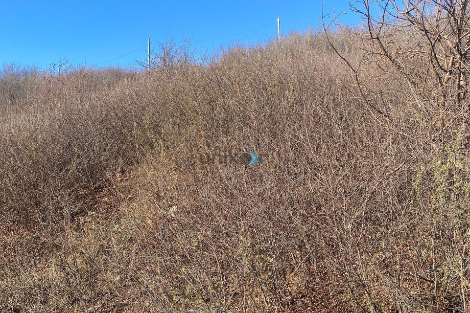 земля г Октябрьский Октябрьский городской округ, СТ Дубки-1 фото 3