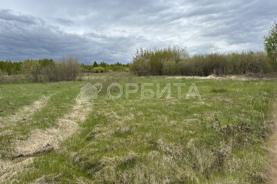 земля г Тюмень СО Горошинка, Тюменский район фото 2