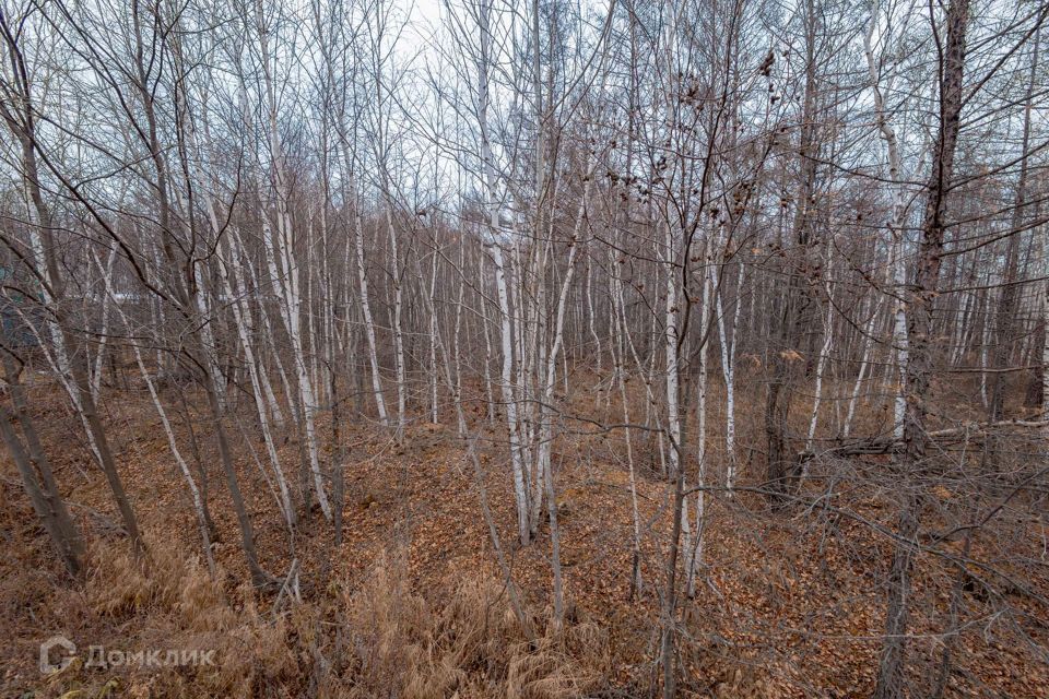 земля Комсомольск-на-Амуре городской округ, Большая Хапсоль, Комитетская, 13 фото 4