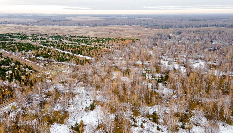 земля р-н Тюменский фото 3