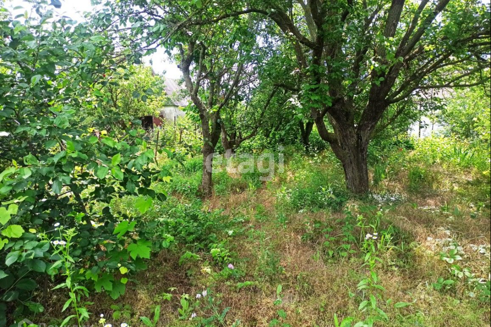 земля г Таганрог Таганрог городской округ, СНТ Дачное-1 фото 2