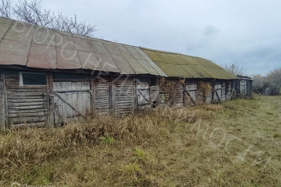 дом р-н Балашовский с Большой Мелик ул Садовая 9 фото 2