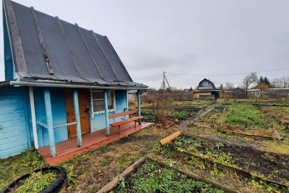 земля р-н Сокольский Сокол фото 3