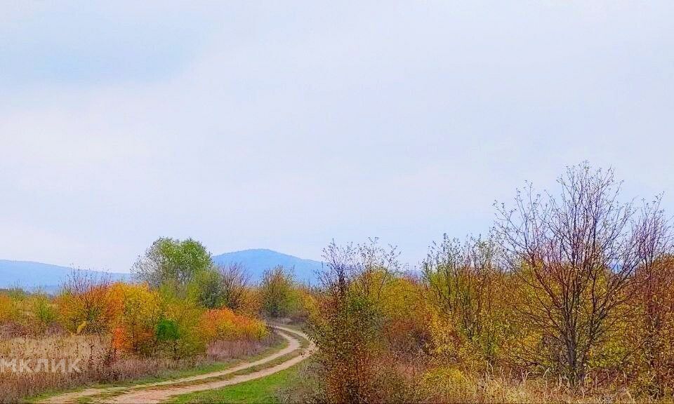 земля р-н Северский Новоалексеевский фото 2