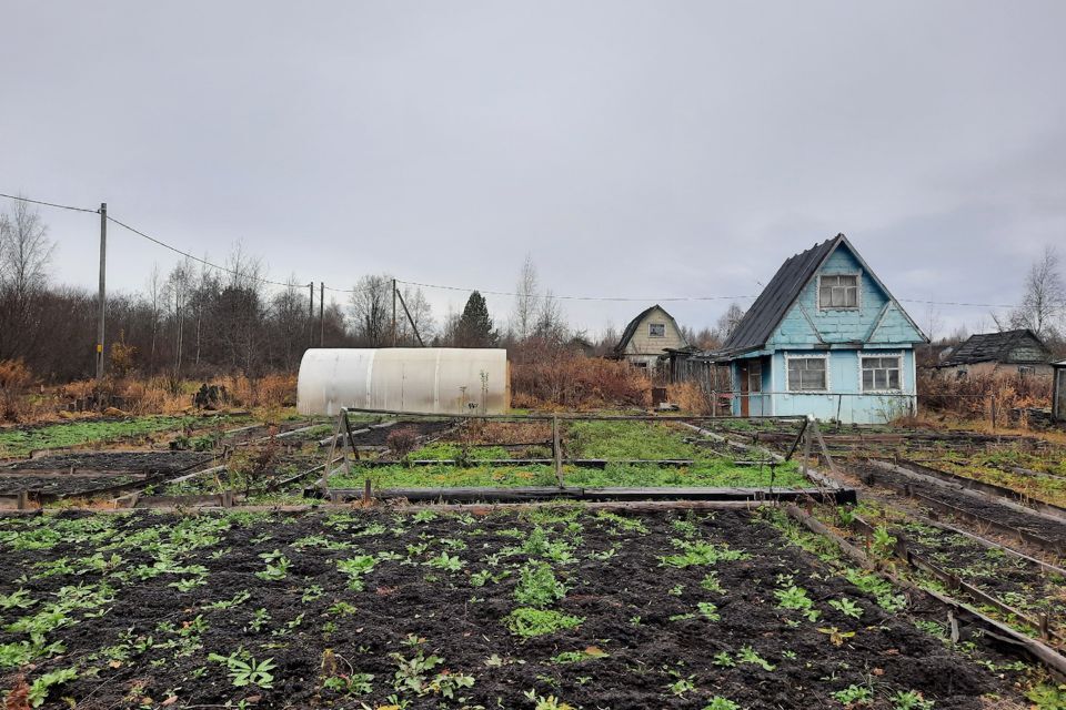 земля р-н Сокольский Сокол фото 2