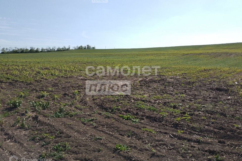 земля Анапа городской округ, Нижняя Гостагайка фото 4