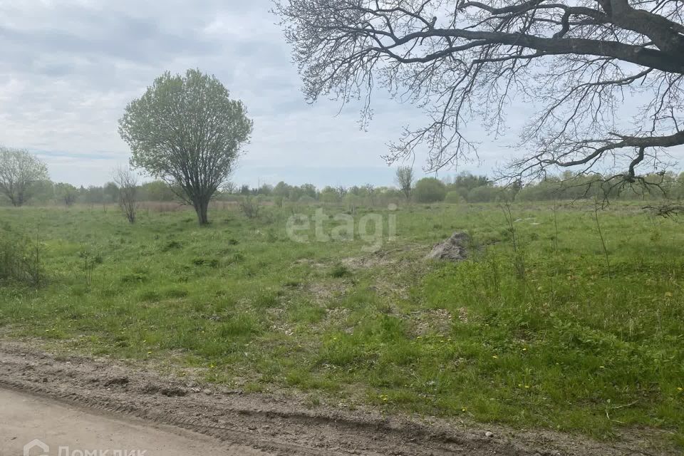 земля р-н Гвардейский п Комсомольск ул Центральная 13 фото 3