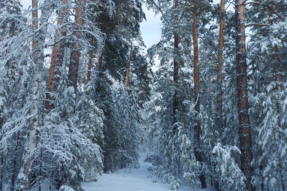 земля р-н Первомайский с Бобровка пер Ягодный 5г фото 5