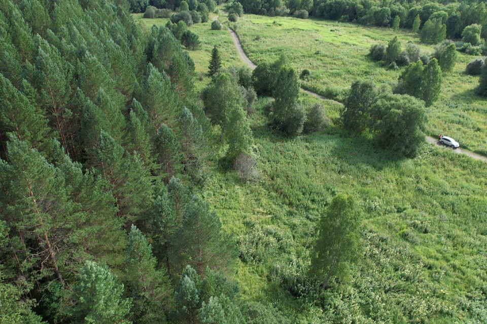 земля р-н Чойский с. Кара-Торбок фото 10