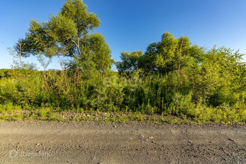 земля р-н Хабаровский Некрасовка фото 6