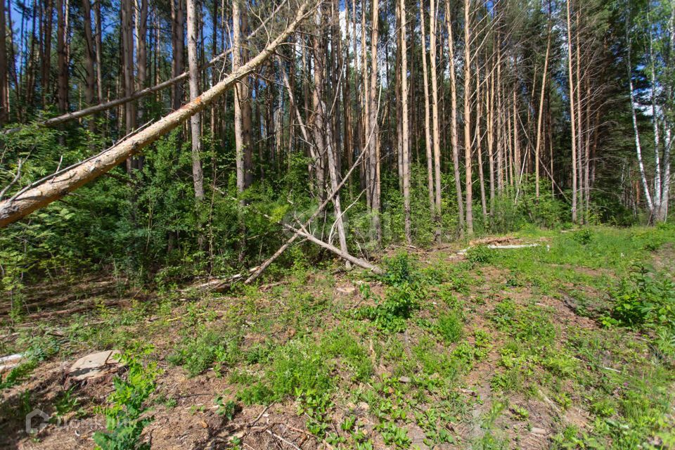 земля г Тобольск улица Центральная, 24, Тобольск городской округ фото 7