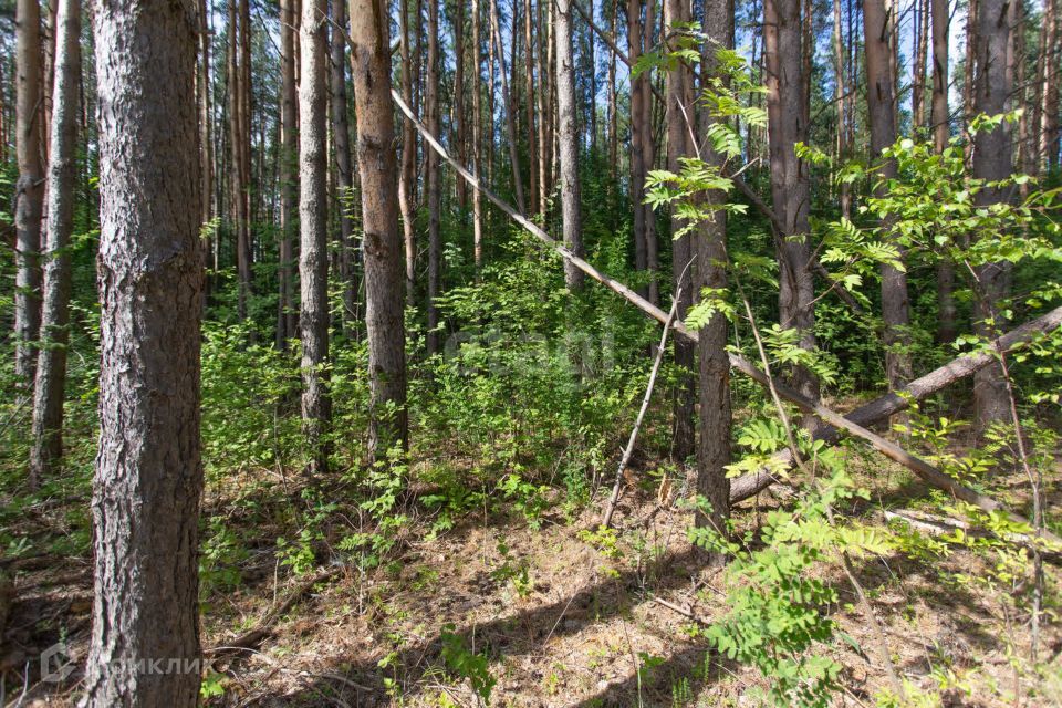 земля г Тобольск улица Центральная, 24, Тобольск городской округ фото 5