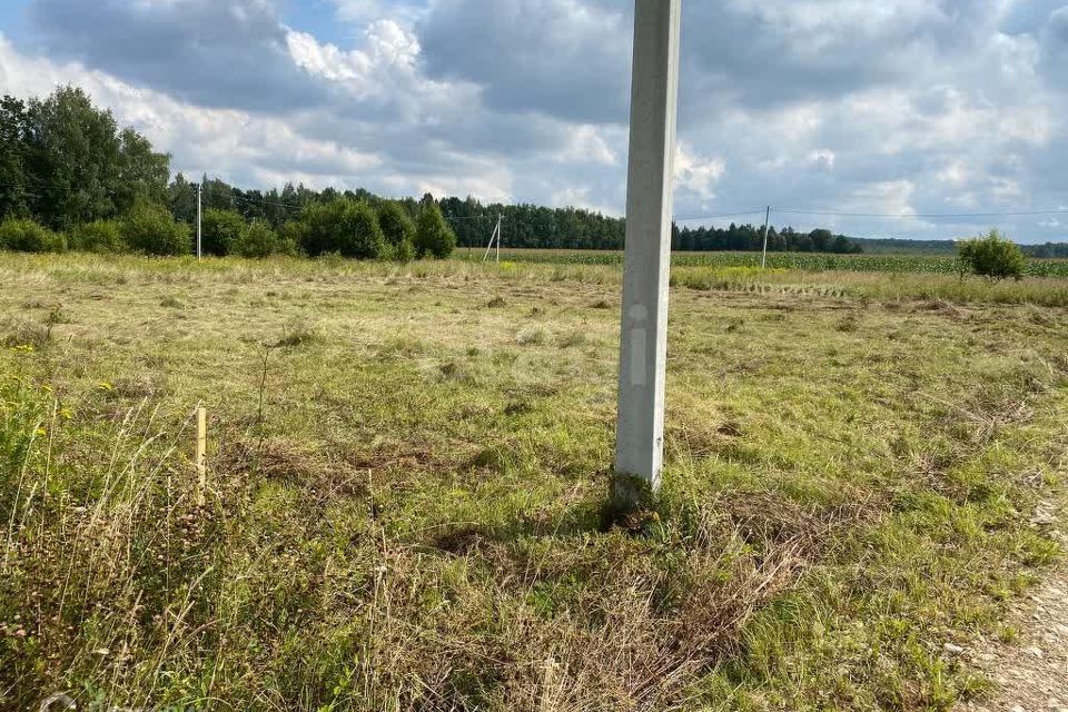 земля р-н Заокский д Домнинские Дворы ул Полевая фото 2