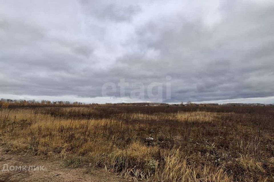 земля р-н Зеленодольский с Осиново Дальняя фото 4