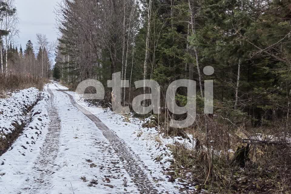 земля р-н Емельяновский ДНТ Жаворонки фото 9