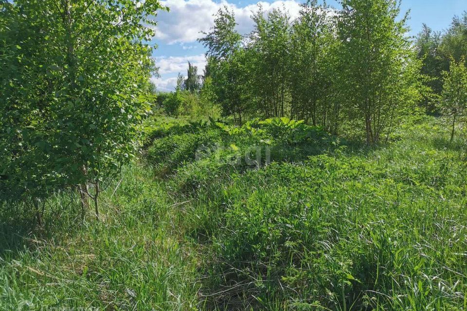 земля г Ярославль р-н Заволжский Ярославль городской округ, Воздвиженье фото 1