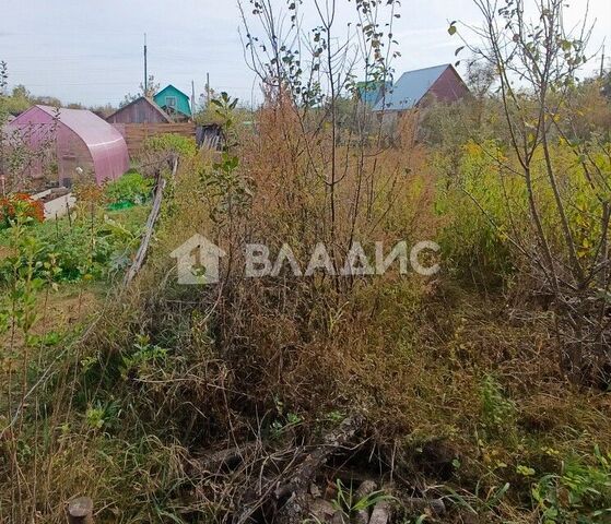 Ковров городской округ, НСТ 5 Текстильщик фото