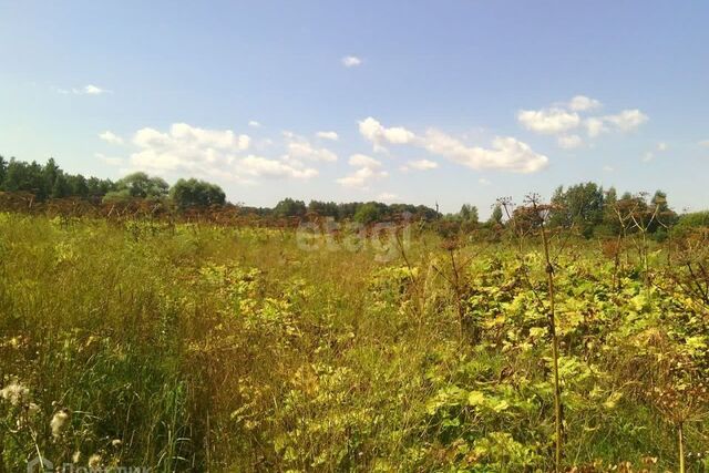 СТ Хлебопёк, городской округ Хабаровск фото