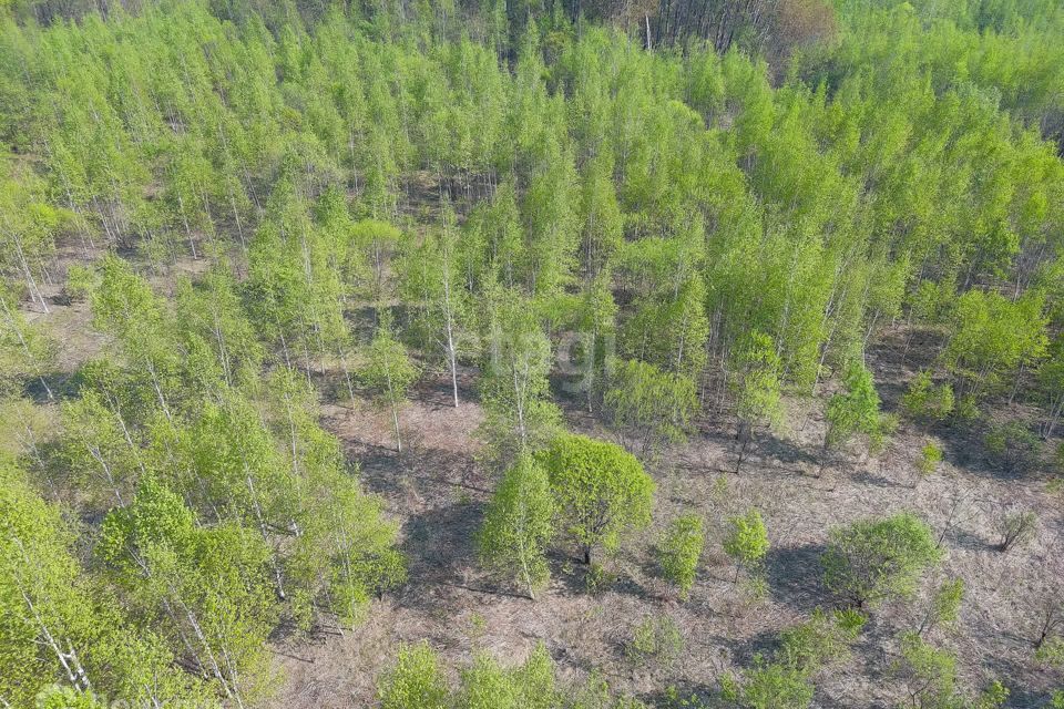 земля р-н Хабаровский с Осиновая Речка ул Амурская фото 1