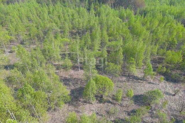 ул Амурская Осиновореченское сельское поселение фото