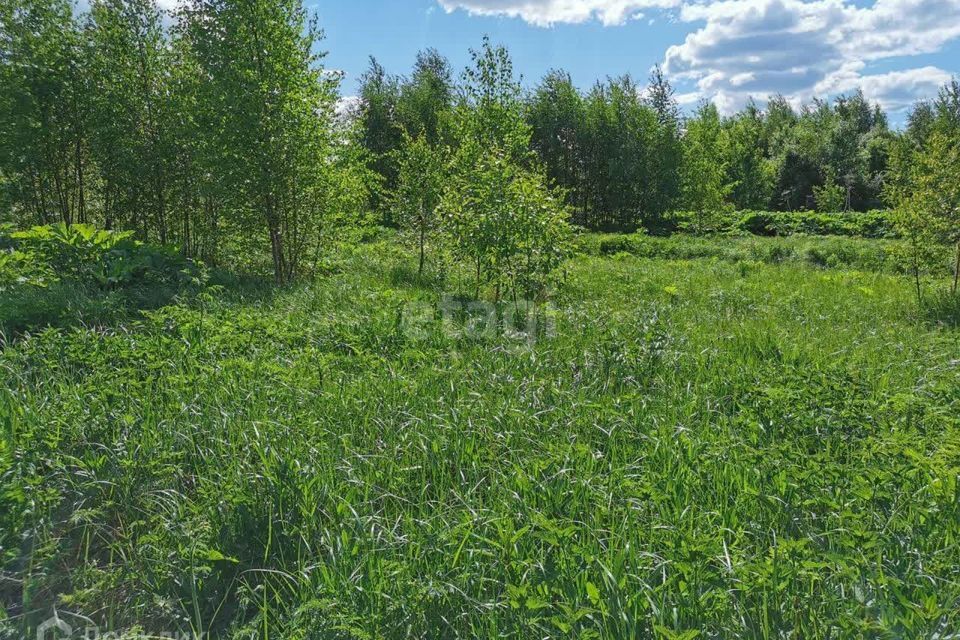 земля г Ярославль р-н Заволжский Ярославль городской округ, Воздвиженье фото 2