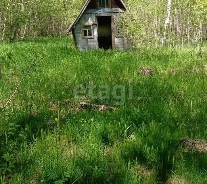 земля р-н Конаковский СНТ Берёзка фото 3