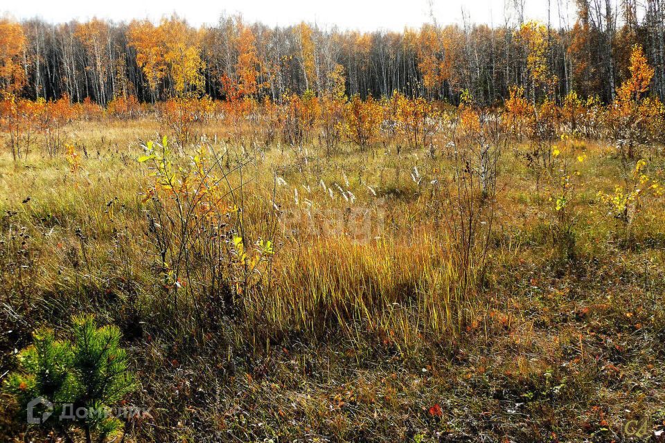 земля г Хабаровск р-н Краснофлотский СТ Хлебопёк, городской округ Хабаровск фото 3