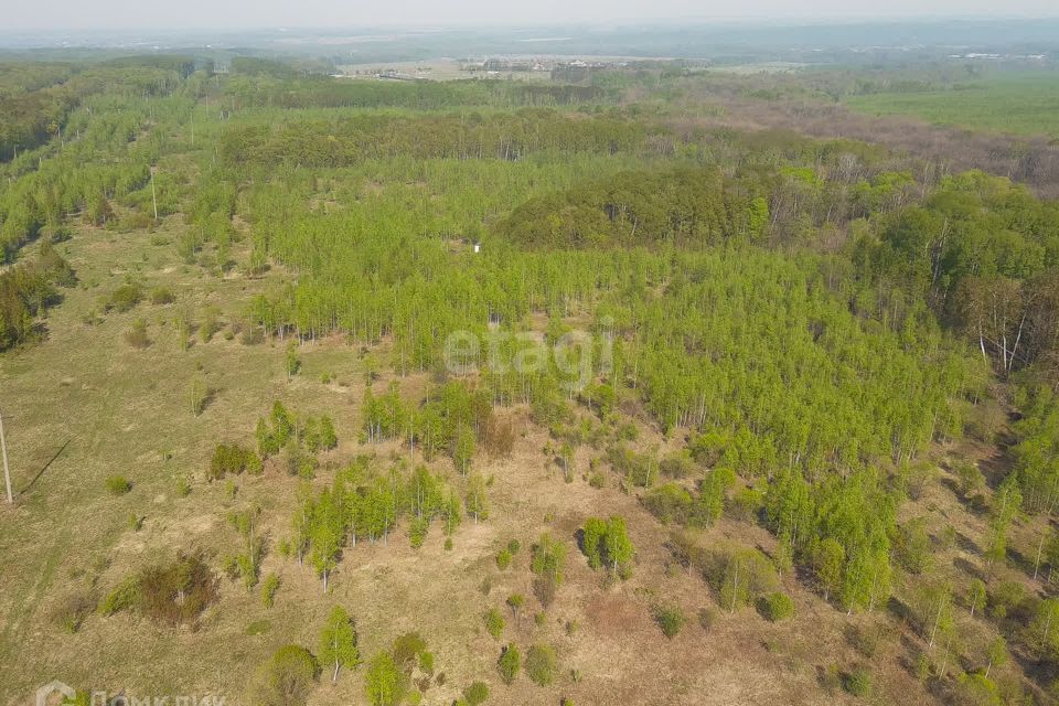 земля р-н Хабаровский с Осиновая Речка ул Амурская фото 2