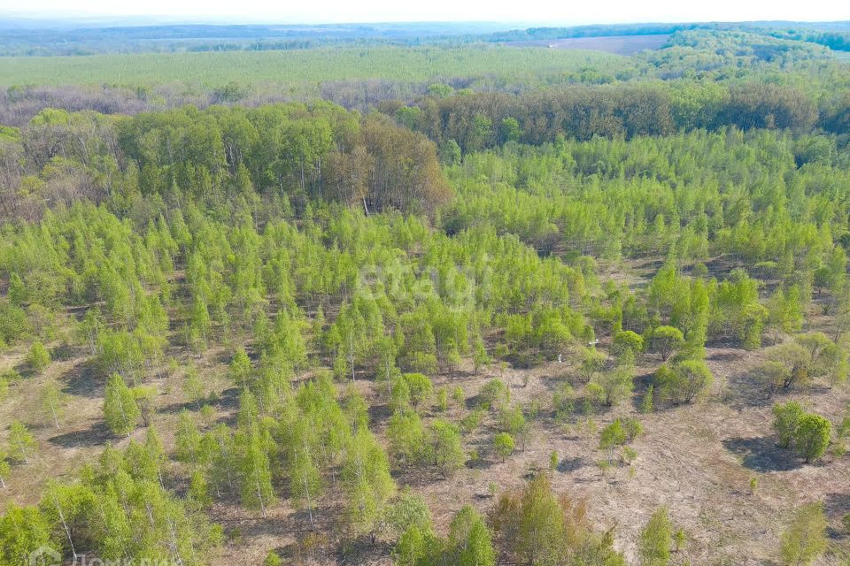 земля р-н Хабаровский с Осиновая Речка ул Амурская фото 4