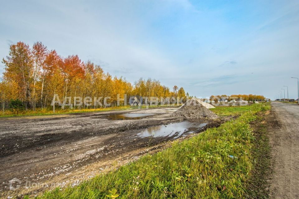 земля р-н Тюменский ДПК Новокаменский, Коттеджный посёлок Новокаменский фото 7