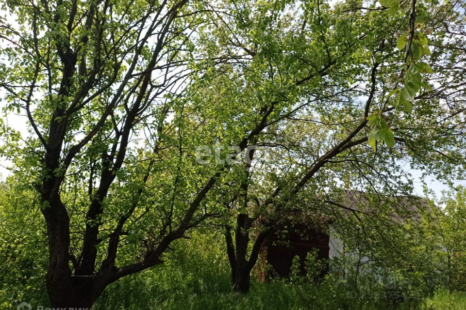 земля г Таганрог Таганрог городской округ, СНТ Дачное-1 фото 5