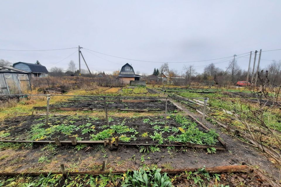 земля р-н Сокольский Сокол фото 5