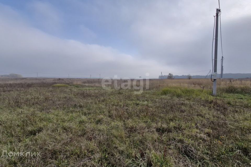 земля р-н Гурьевский Заозерье фото 2