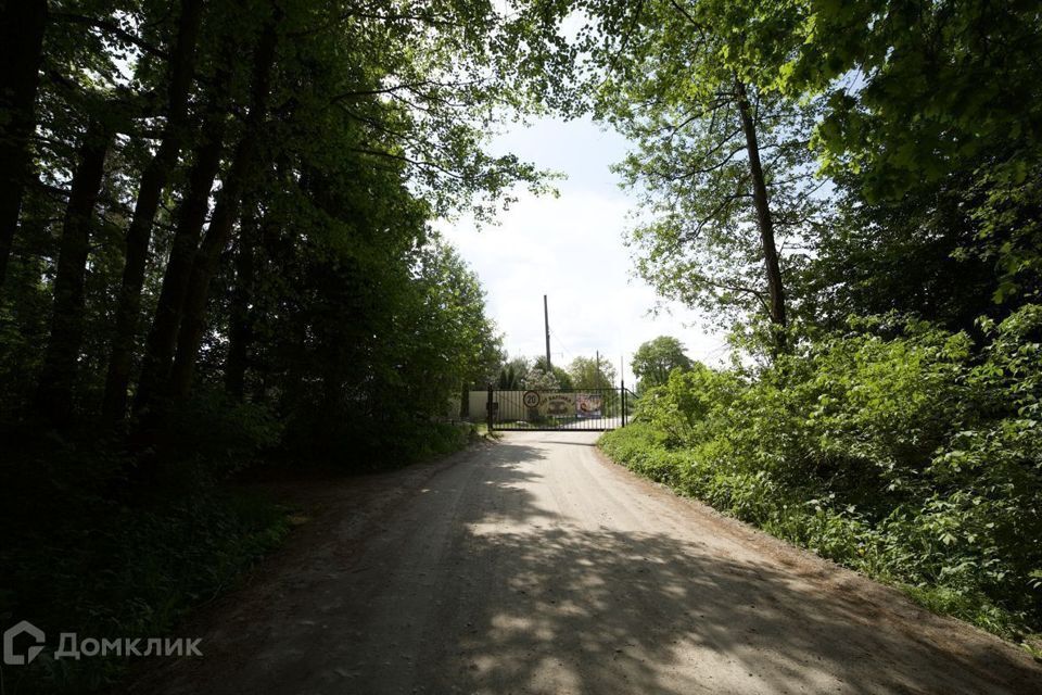 земля г Светлый п Взморье пер Песчаный 5 Светловский городской округ фото 6