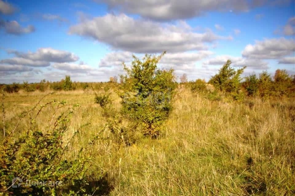 земля г Хабаровск р-н Краснофлотский СТ Хлебопёк, городской округ Хабаровск фото 7